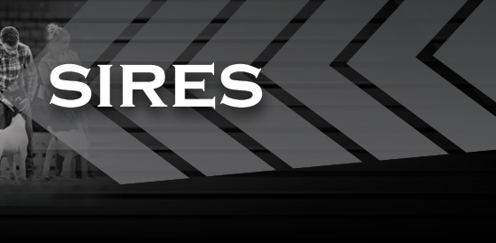Sires